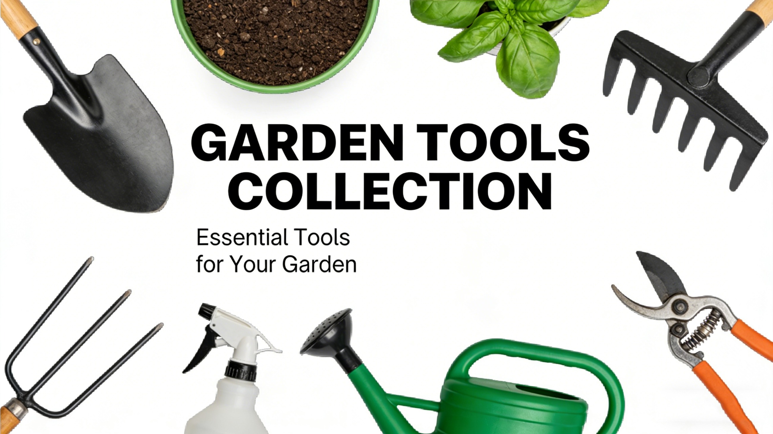 <strong>Website compliance, choose Mituo</strong>